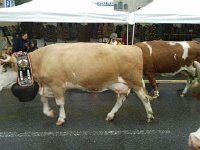 2013-10-05 11.22.54  Females